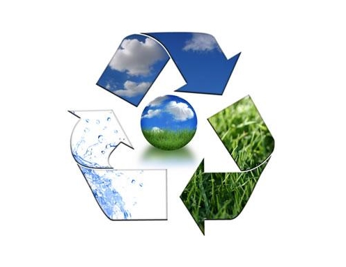 浙江PP电子官网股份有限公司2023年度环境信息依法披露报告