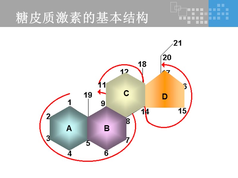 氟轻松是如何发挥其药理作用的？